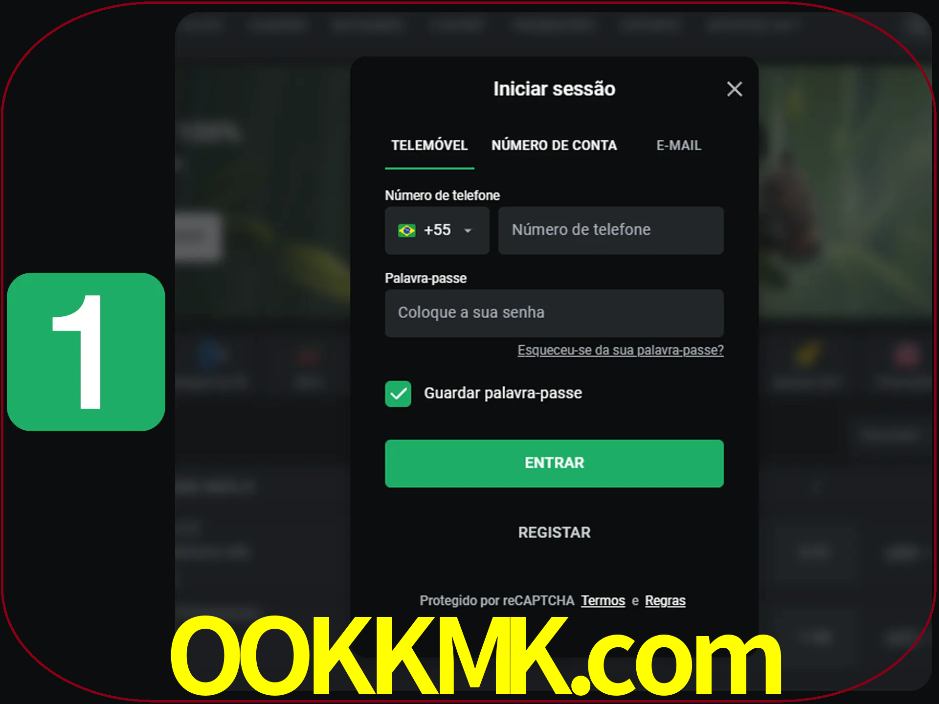 Clique no botão Entrar.
